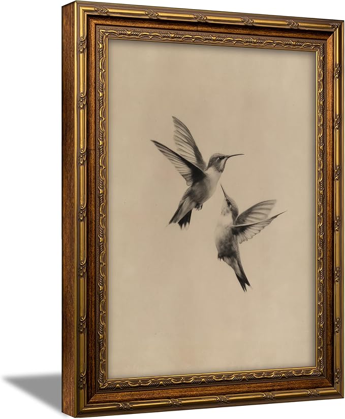Vintage Gold Framed Vintage Birds Wall Art Birds Sketch Wall Decor Retro Hummingbirds Canvas print Retro Sketch Artwork Painting for Bedroom Living Room Shelf