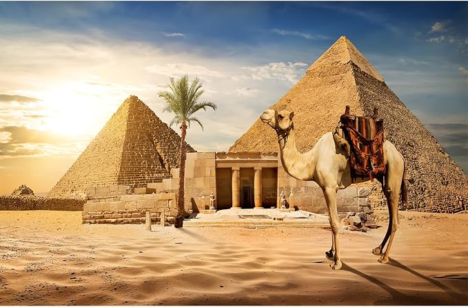 Egypt Pyramids Backdrop Ancient Egyptian Pyramid Camel Photography Background Giza Desert Scene Coconut Tree Sunset Sky Scenery Backdrops Egypt Party Supplies Studio Photo Shoot Props 15x8ft
