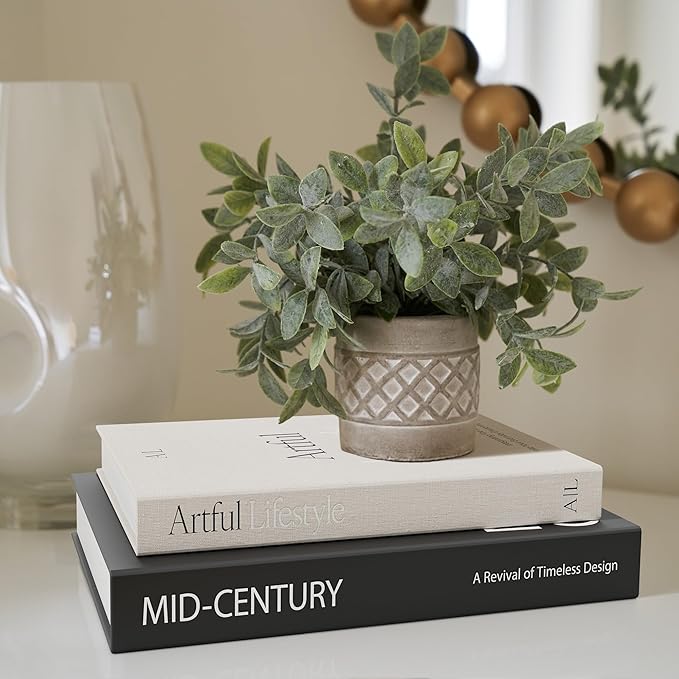 Aesthetic Decorative Books - Set of 2 Stylish Boxes Enhance Your Coffee Table, Bookshelf or Mantel Decor - Beautiful Fake/Faux Books for Modern Home Decoration, Photo Storage and as a Keepsake Box