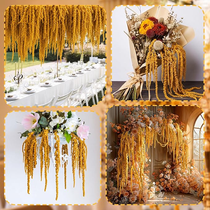 Suncalla 12 Pcs Yellow Spring Natural Dried Amaranthus Hanging Flowers Amaranthus Artificial Flowers for Wedding Arch Bouquet Floral Garland Wall Home Decoration (23 Inch)