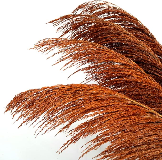 Burnt Orange Pampas Grass Decor Tall,Long Natural Pampas Grass for Floor Vase , Dried Pompas Floral, Elegant Feather Flowers,Wedding Living Room Decorations(Natural Orange, 6pcs 43.3"(110cm))