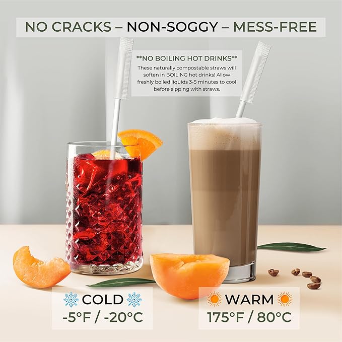 EcoPreps 10” Biodegradable Bamboo Fiber Straws, Extra-Long Individually Wrapped Straw | 300 Count, 100% Compostable, Plastic-Free, Eco-Friendly Drinking Straw | 10-Inch Plant Fiber Disposable Straws