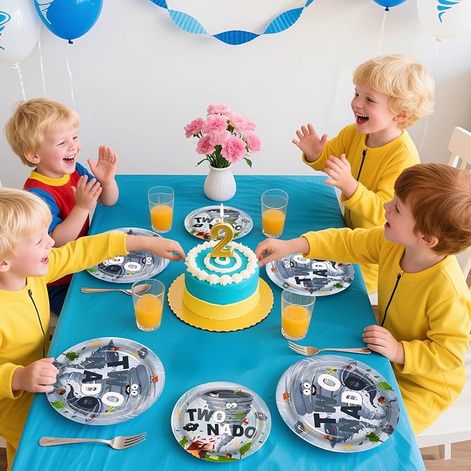 96Pcs Twonado Birthday Party Decorations Grey Tornado 2nd Birthday Plates and Napkins Disposable Tornado Paper Tableware for Boys Kids 2 Year Old Party Supplies, Serves 24