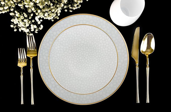 PLASTICPRO 30 Pack Hammered Plastic Plates Heavyweight Disposable Plastic Plates Elegant Transparent White With Gold Rim Platsic Party Dishes (Transparent White With Gold Rim, 9'' INCH PLATES)