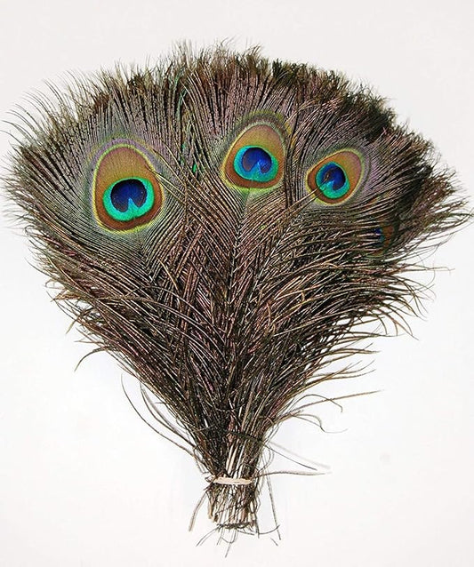 50 Pcs Natural Peacock Feathers : Various Sizes (10-12”)