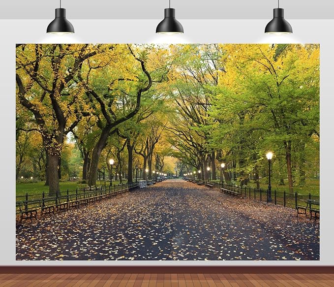 12x8ft Fabric Central Park Backdrop New York City Park Path Trees Autumn Scenery Background Outdoor Hiking United States Nature Theme Wallpaper Photo Booth Studios Props