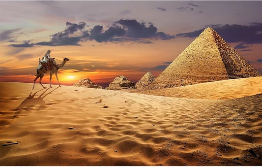 Egyptian Pyramids Backdrop Camel Caravan and The Pyramids in The Sunset Desert Photography Background The Great Pyramids of Egypt Theme Background Decorations Photo Shoot Booth Props 8x6ft