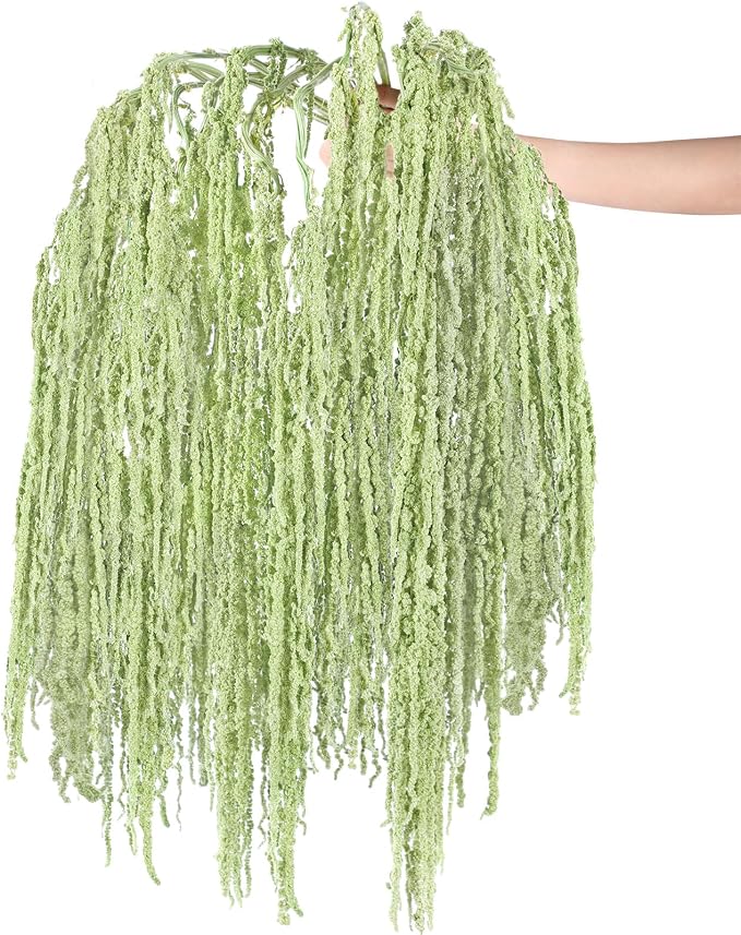 Suncalla 12 Pcs 24 Inch Light Green Dried Amaranthus Hanging Flowers Amaranthus Artificial Flowers for Wedding Arch Bouquet Floral Garland Wall Home Decoration