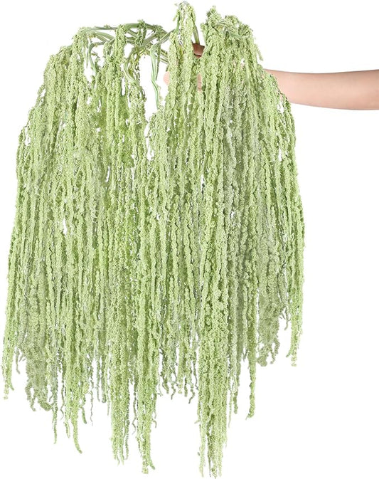 Suncalla 12 Pcs 24 Inch Light Green Dried Amaranthus Hanging Flowers Amaranthus Artificial Flowers for Wedding Arch Bouquet Floral Garland Wall Home Decoration