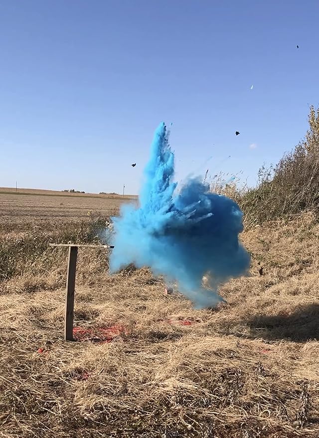 BlastCloud Gender Reveal Targets