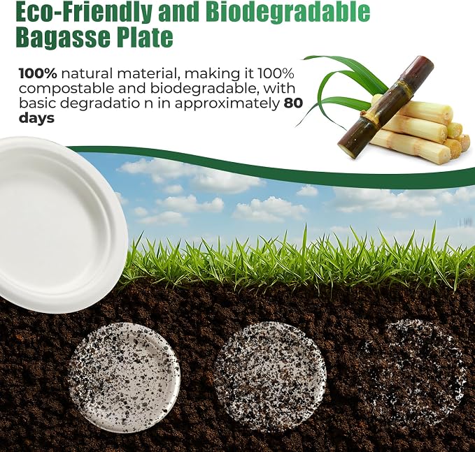 250 Pcs Biodegradable Paper Plates Set Disposable Dinnerware | Eco Friendly Compostable, Extra Long Utensils, Includes Forks, Knives & Spoons, For Party & Birthday, Camping