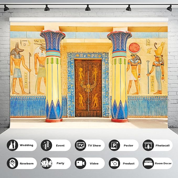 Ancient Egyptian Backdrop Ancient Egyptian Writing Pharaoh Hieroglyphics on Stone Photography Backdrop Ancient Egypt Wall Mural Theme Party Backdrop for Travel Vacation Portrait Photo Props 9x6ft