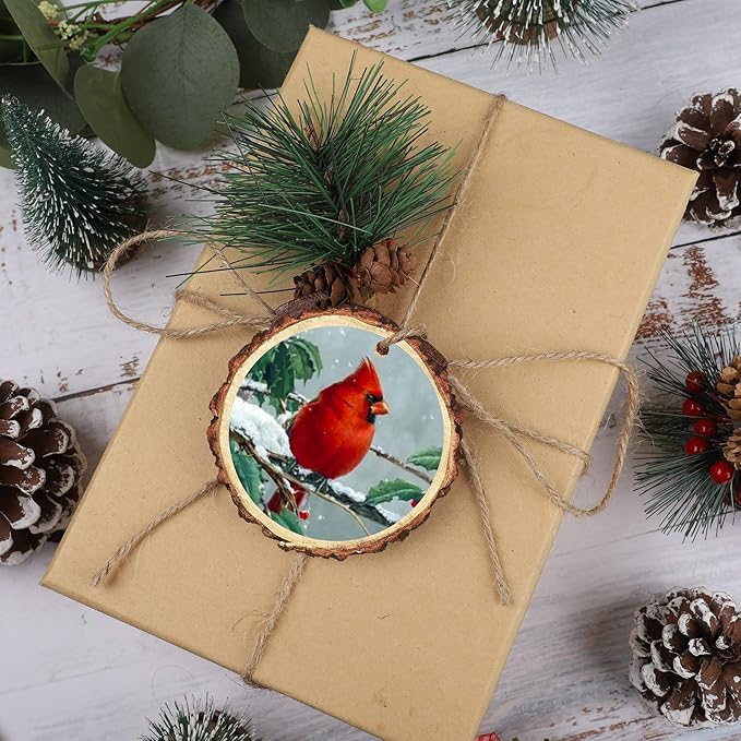 16 PCS Christmas Wood Ornaments Red Birds Hanging Wood Decor Holiday Wooden Slice Ornaments with Hemp Rope for Xmas Tree Centerpieces DIY Crafts Memorial Gifts