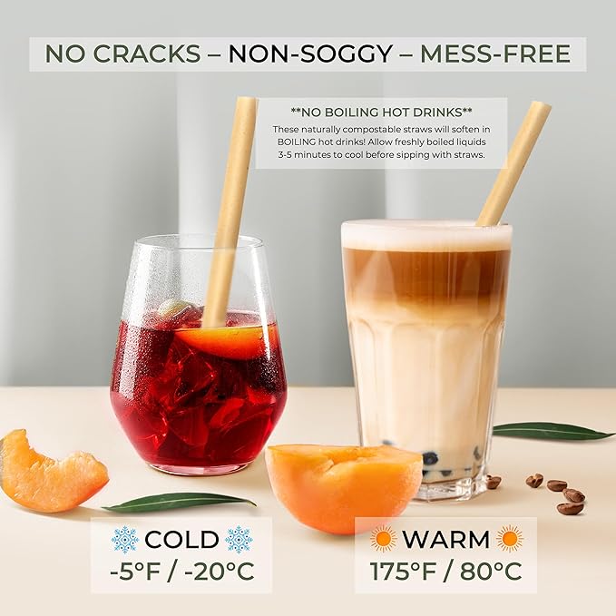 EcoPreps Biodegradable Jumbo Smoothie Straws, Sugarcane Boba Straws - 50 PCS, Extra Wide, 100% Compostable, Plastic-Free, Eco-Friendly Large Wide-Mouthed Straw - 8.25" Long Sugarcane Disposable Straw