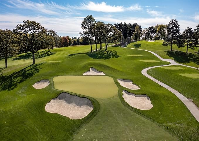 BELECO 12x10ft Fabric Golf Course Backdrop for Photography Green Grass Lawn Bunker Trees Blue Sky White Clouds Outdoor Golf Backdrop Golf Party Decorations Birthday Shoot Holiday Photo Studio Props
