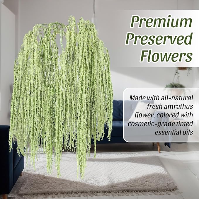 Suncalla 24 Pcs Light Green Spring Natural Dried Amaranthus Hanging Flowers Amaranthus Artificial Flowers for Wedding Arch Bouquet Floral Garland Wall Home Decoration (23 Inch)