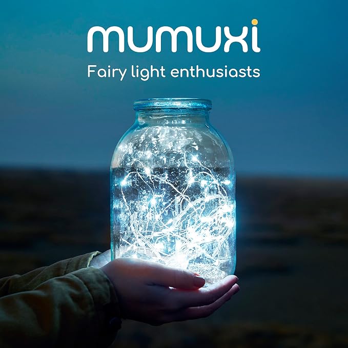 MUMUXI 12 Pack 7.2ft Fairy Lights Battery Operated String Lights, 20 Mini LEDs for Centerpiece Table Decorations, Wedding Party Bedroom Mason Jar Christmas, Cool White