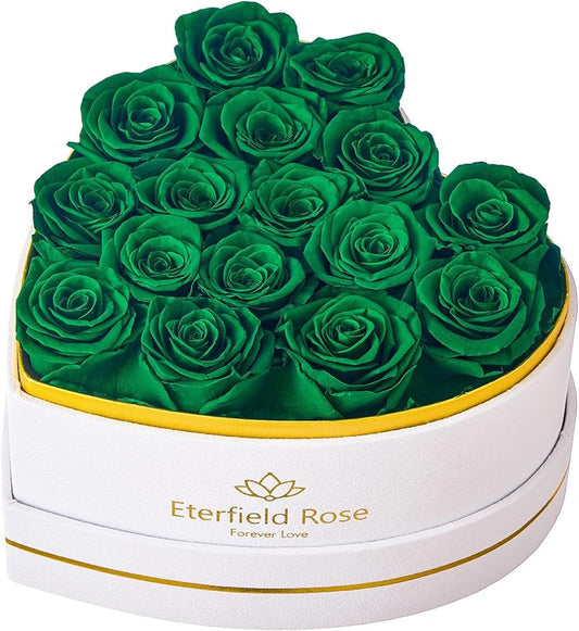 Eterfield 16 Forever Flowers in Heart Shape Box, Preserved Roses That Last a Year Preserved Flowers Birthday Gifts for Her Mom Women Wife Anniversary Valentines Day Mothers Day Christmas, Green