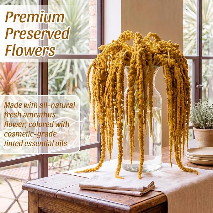 Suncalla 12 Pcs Yellow Spring Natural Dried Amaranthus Hanging Flowers Amaranthus Artificial Flowers for Wedding Arch Bouquet Floral Garland Wall Home Decoration (23 Inch)