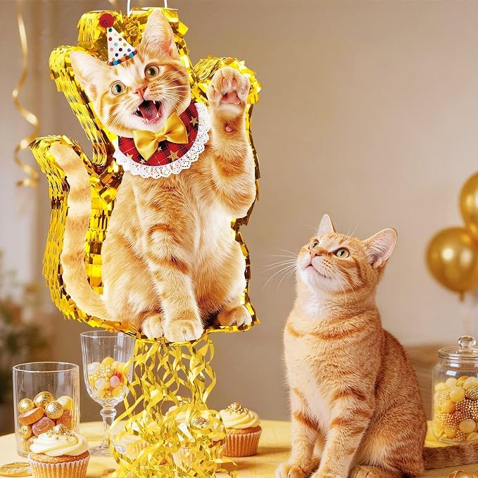 WERNNSAI Cat Piñata - Orange Cat Birthday Decorations Pull String Piñata Bundle with Blindfold and Bat Cute Animal Party Game for Kitten Party Supplies