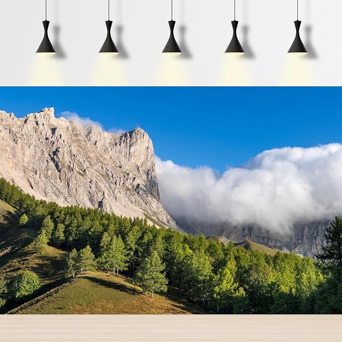 Mountain Valley Backdrop Summer View on Alps Devoluy Massif Mountain Ridge Photography Background Hautes-Alpes Larch Tree Forest Blue Sky Backdrop France Travel Hiking Theme Background 7x5ft