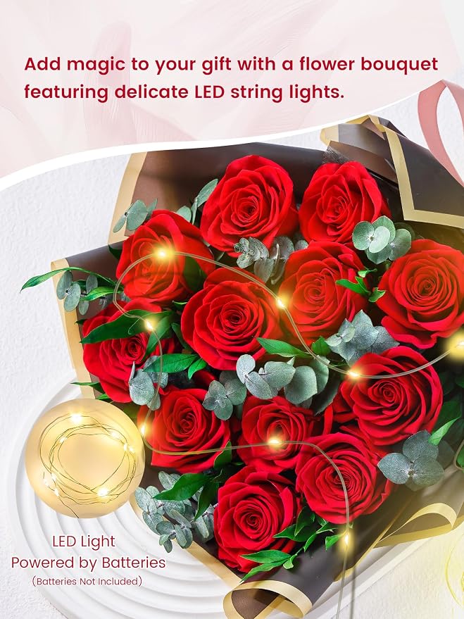 Mosstory 12 Red Preserved Roses Bouquet Flower Bouquet with Led Lights Gift for Women Wife Mother Day Birthday Wedding Anniversary (Black)