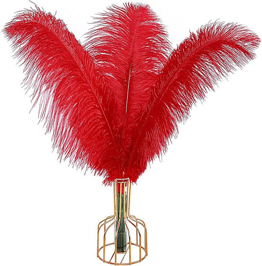 THARAHT Red Ostrich Feathers 12pcs Large Natural Bulk 20-22Inch 50cm-55cm for Wedding Party Centerpieces Halloween and Home Decoration Feathers