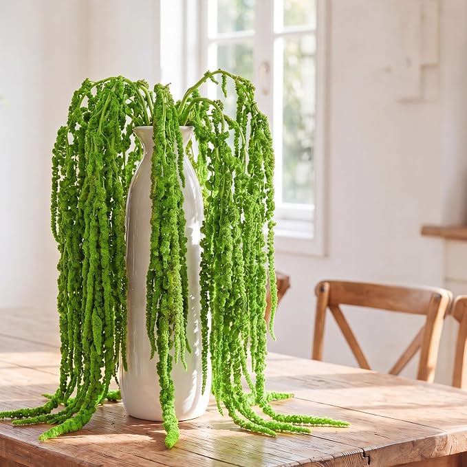 Suncalla 36 Pcs Green Spring Natural Dried Amaranthus Hanging Flowers Amaranthus Artificial Flowers for Wedding Arch Bouquet Floral Garland Wall Home Decoration (23 Inch)