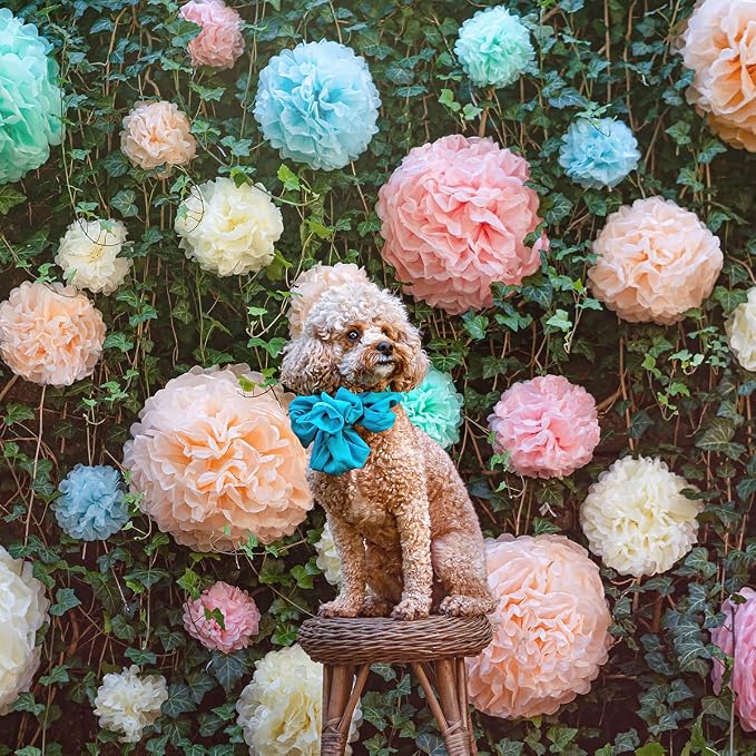 Pastel Tissue Paper Pom Poms - Hanging Paper Flowers for Rainbow Pastel Birthday Decorations, Baby Shower Decor, Easter Party Decor and Classroom Decorations by Avoseta (20pc)