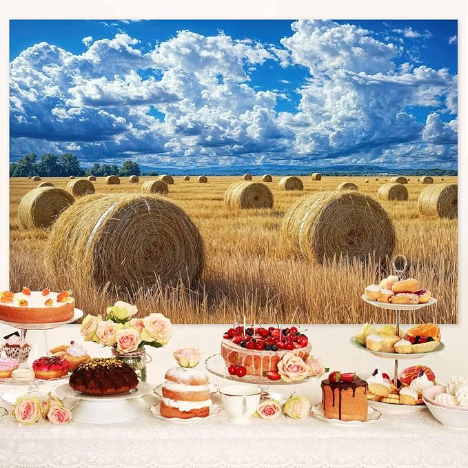 12 x 10 ft Autumn Harvest Field Backdrop Fall Farm Blue Sky White Clouds Field Haystack Country Photography Background Western Newborn Children Birthday Background Banner Photo Studio Props