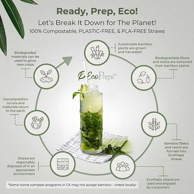 EcoPreps 10” Biodegradable Bamboo Fiber Straws, Extra-Long Straw | 100 Count, 100% Compostable, Plastic-Free, Eco-Friendly Drinking Straw | Plant Fiber, Party Jumbo Disposable Straws, 10 Inches Tall