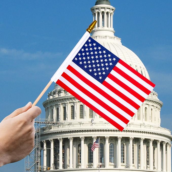 HOOSUN 12 Pcs Small American Flags On Stick,4th of July Decorations Outdoor Mini USA Flag 12''x8'',American Flags for Outside,Fourth of July Flag Patriotic Decor for Yard Lawn,Memorial Day Decorations