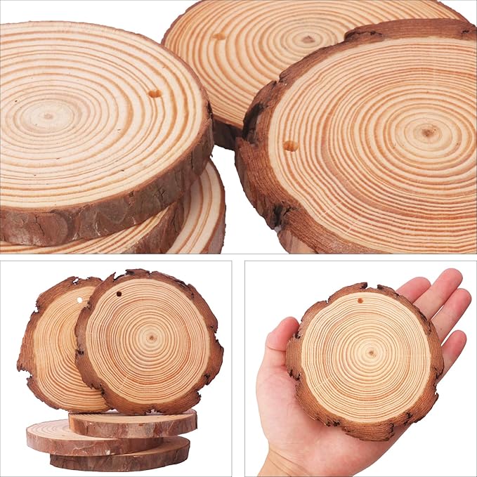 76 PCS Small Wood Slices with Hole for Crafts, 3.5 Inch - 4 Inch Mini Wood Slices for Christmas Ornaments Rustic Wedding Decoration DIY Crafts, and More(Include 2 Rope)