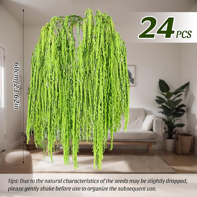 Suncalla 24 Pcs Green Spring Natural Dried Amaranthus Hanging Flowers Amaranthus Artificial Flowers for Wedding Arch Bouquet Floral Garland Wall Home Decoration (23 Inch)