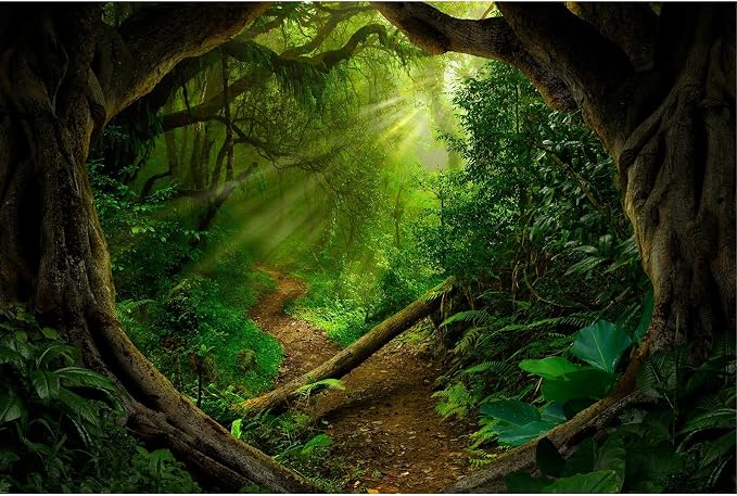 Jungle Photography Background Mysterious Spring Rainforest Sunlight Jungle Forest Backdrop Camping Theme Party Background Outdoorsy Natural Scenery Kids Adult Wedding Studio Backdrop 6x4ft