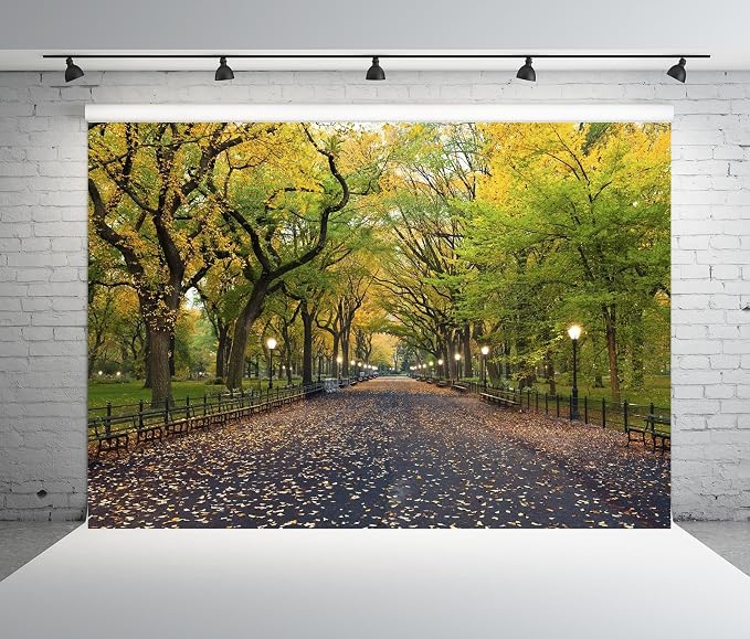15x8ft Fabric Central Park Backdrop New York City Park Path Trees Autumn Scenery Background Outdoor Hiking United States Nature Theme Wallpaper Photo Booth Studios Props