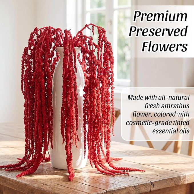 Suncalla Bright Red Spring Natural Dried Amaranthus Hanging Flowers Amaranthus Artificial Flowers for Wedding Arch Bouquet Floral Garland Wall Home Decoration (23 Inch,12 Pcs)