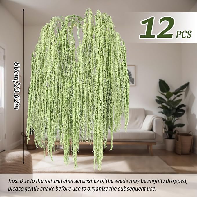 Suncalla 24 Pcs Light Green Spring Natural Dried Amaranthus Hanging Flowers Amaranthus Artificial Flowers for Wedding Arch Bouquet Floral Garland Wall Home Decoration (23 Inch)