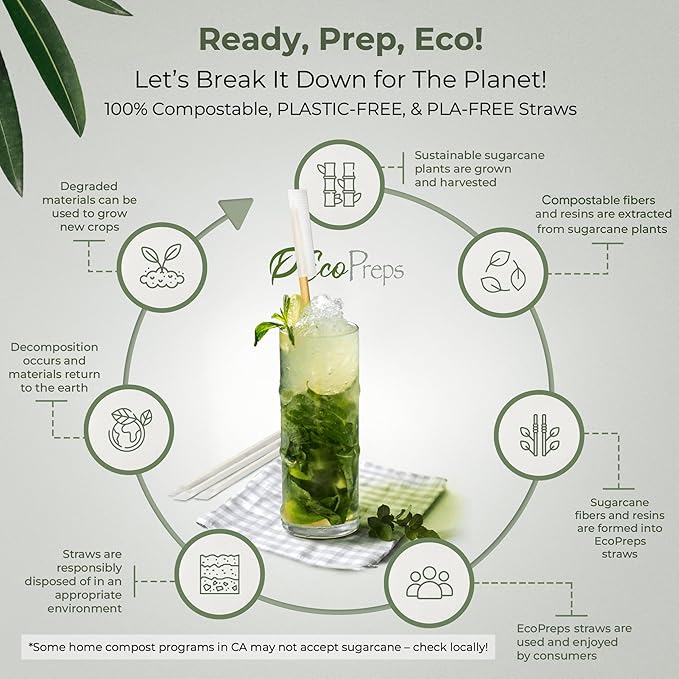 EcoPreps 10” Disposable Sugarcane Straws, Extra-Long Individually Wrapped Straw | 300 Count, 100% Compostable, Plastic Free, Eco-Friendly Drinking Straw | 10-Inch Long Sugar Fiber Disposable Straws