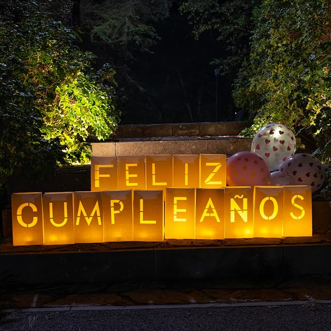 WYMM Feliz Cumpleaños Happy Birthday Light Up Letters in Spanish - Luminary Bags Happy Birthday Decorations with Tea Lights Candles and Rose Petals - Feliz Cumpleaños Banner For Your Loved One