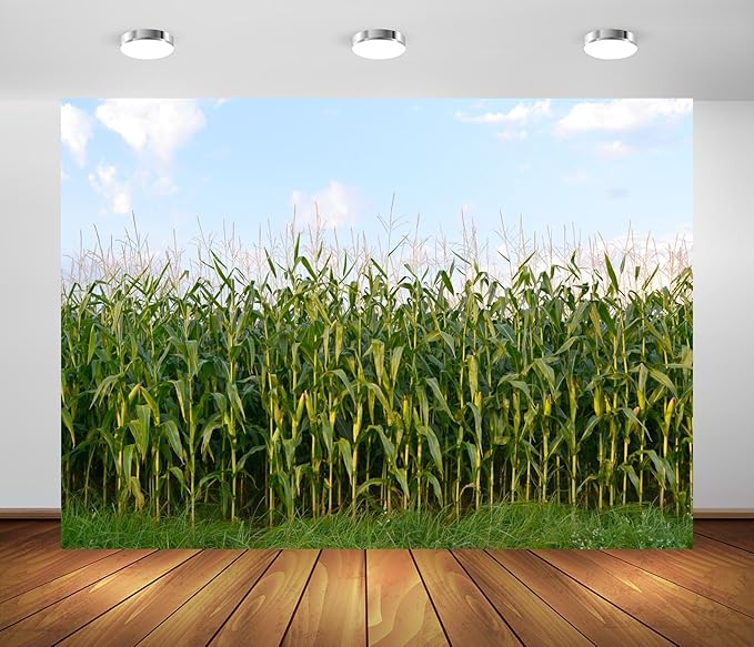 BELECO 7x5ft Fabric Cornfield Maze Backdrop Green Corn Stalks Corn Field Countryside Farm Harvest Background Corn Field Themed Party Decorations Adults Kids Portrait Photoshoot Studio Props