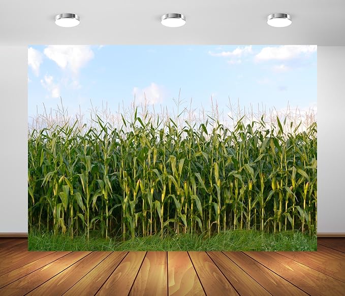 BELECO 20x10ft Fabric Cornfield Maze Backdrop Green Corn Stalks Corn Field Countryside Farm Harvest Background Corn Field Themed Party Decorations Adults Kids Portrait Photoshoot Studio Props
