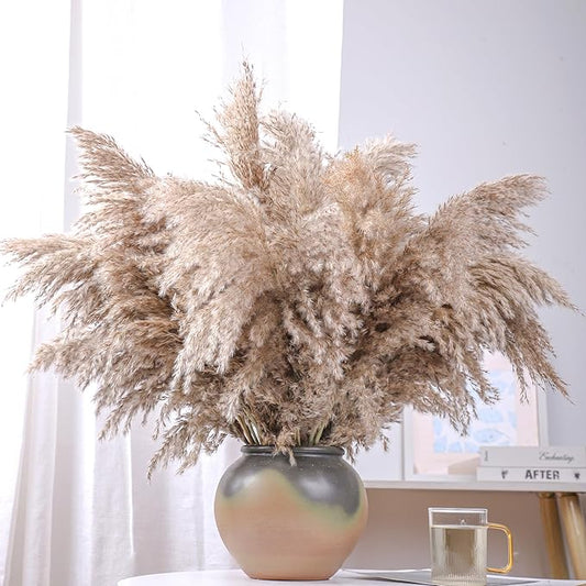 20 Stems 28" inch Large Brown Pampas Grass Decor Tall - Natural Fluffy Pompas Grass Bulk Tall Pampas Grass for Floor Vase - Boho Decor Home Decor Wedding Decor Event Decor，Gift