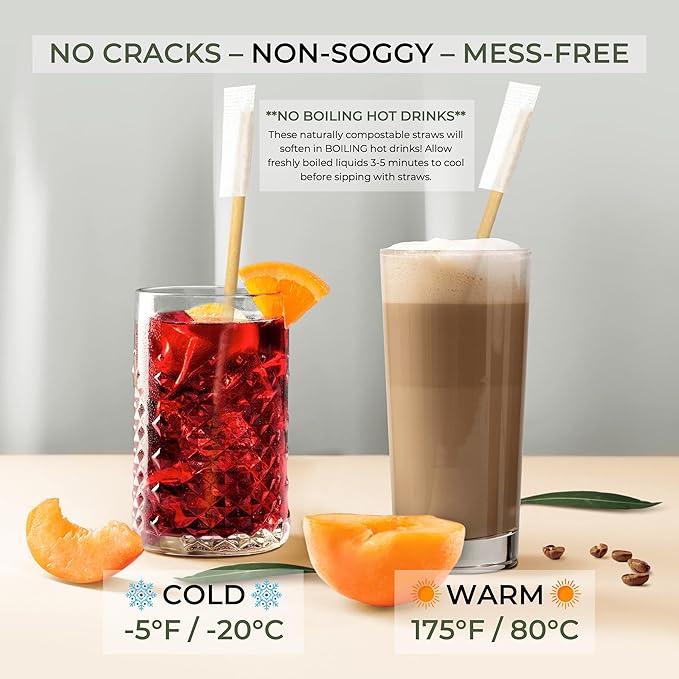 EcoPreps 10” Disposable Sugarcane Straws, Extra-Long Individually Wrapped Straw | 300 Count, 100% Compostable, Plastic Free, Eco-Friendly Drinking Straw | 10-Inch Long Sugar Fiber Disposable Straws