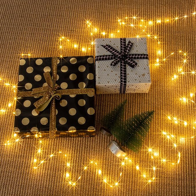 Fairy Lights Plug in,164FT 1000 LEDs Waterproof Led String Lights,8 Modes Remote Twinkle Light for Bedroom Window Weddings Christmas Holiday Decoration,Silver Wire,2 Inch Led Space,Warm White