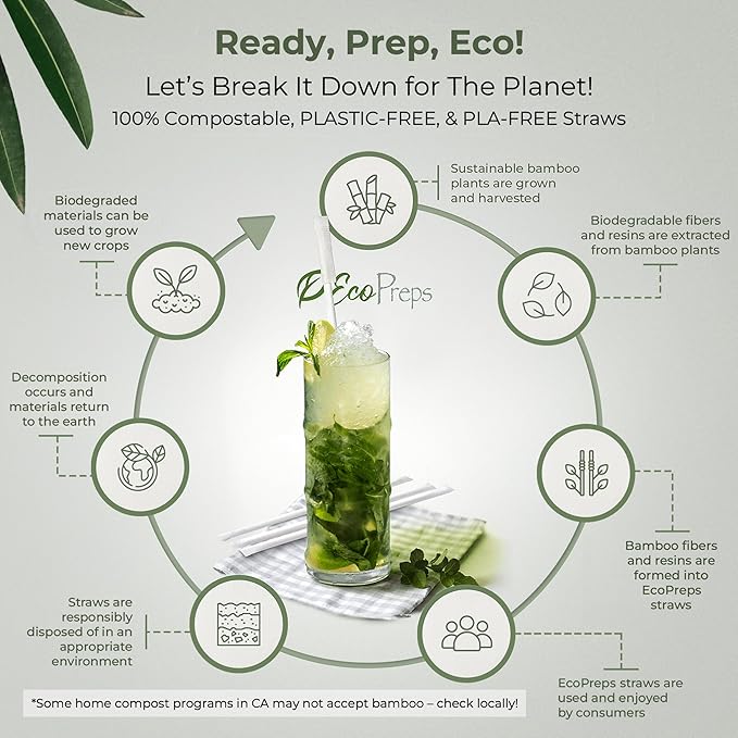 EcoPreps 10” Biodegradable Bamboo Fiber Straws, Extra-Long Individually Wrapped Straw | 300 Count, 100% Compostable, Plastic-Free, Eco-Friendly Drinking Straw | 10-Inch Plant Fiber Disposable Straws