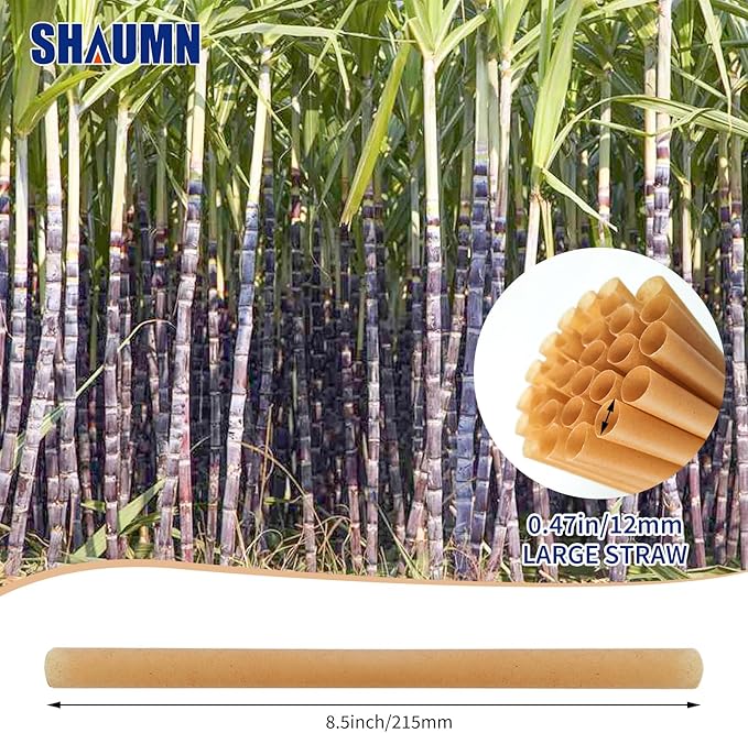 0.47" Wide Biodegradable Sugarcane Straws 100pcs Smoothie Straws Disposable Compostable Eco-Friendly Jumbo Straws for Milksake Bubble Tea 8.5" Disposable Boba Straws Not Soggy