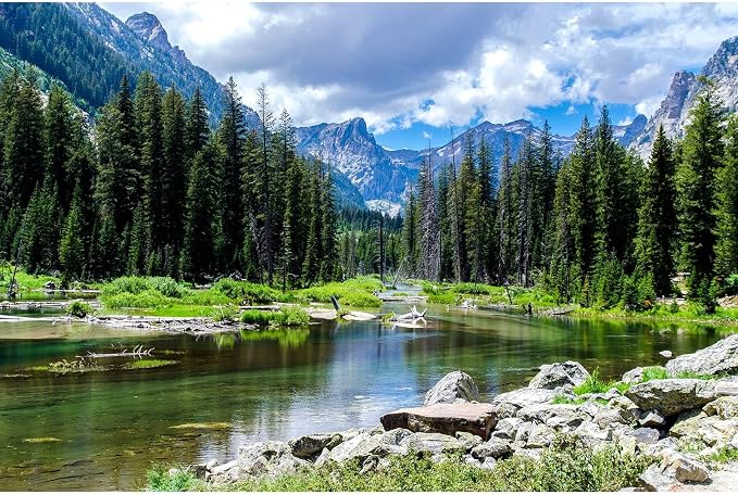 Mountain Forest Backdrop Pine Tree Tranquil Lake Stream Photography Background Tropical Forest Natural Landscape Backdrop Decorations Outdoor Birthday Party Portrait Background Decors 15x10ft