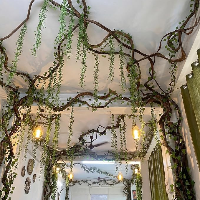 Bucherry Jungle Theme Decoration Set, 16.5ft Artificial Hanging Willow Vines Greenery for Classroom, Woodland Forest Rainforest Safari Party, Enchanted Indoor Outdoor Home Garden Wall DIY Decor