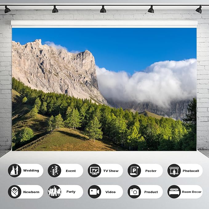 Mountain Valley Backdrop Summer View on Alps Devoluy Massif Mountain Ridge Photography Background Hautes-Alpes Larch Tree Forest Blue Sky Backdrop France Travel Hiking Theme Background 9x6ft